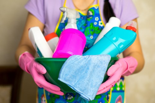 Domestic cleaner working in a Brixton home living room
