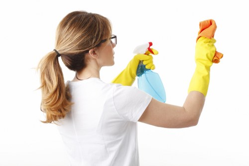 Cleaning service terms and conditions document overview