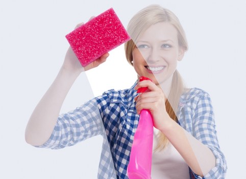 Governing law and final legal terms for cleaning services