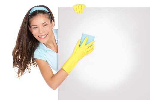 Local technician treating pet urine odour in a Brixton flat