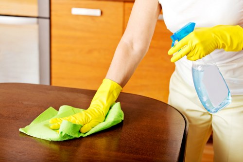 Local house cleaning tasks in a Brixton flat